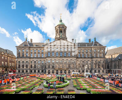 10.000 Besucher werden 200,000 Tulpen auf dem Dam in Amsterdam kostenlos abholen. Tulip Nationalfeiertag offizielle Tulip Saisonstart Stockfoto