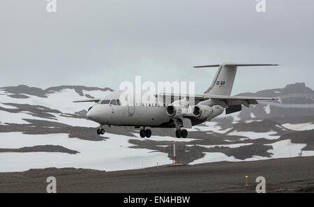 BAE 146-200 Hochdecker Flugzeug landet auf dem Frei Station, King George Island, Antarktis Stockfoto