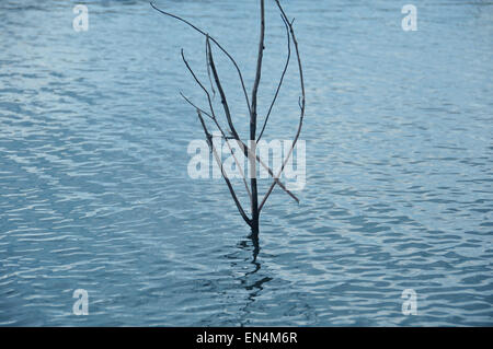 Verschiedene Arten von Wasserwellen mit Details Stockfoto