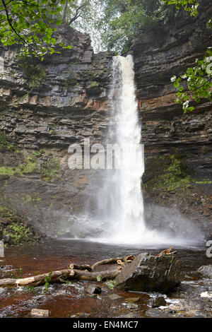 Hardraw Force Wasserfall Yorkshire Stockfoto