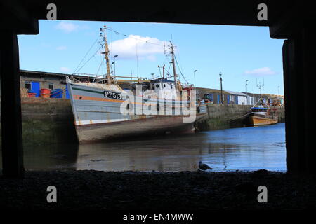 hafen von newlyn und Fischerboote, eingerahmt vom Pier an einem sonnigen Tag im Sommer West cornwall Stockfoto