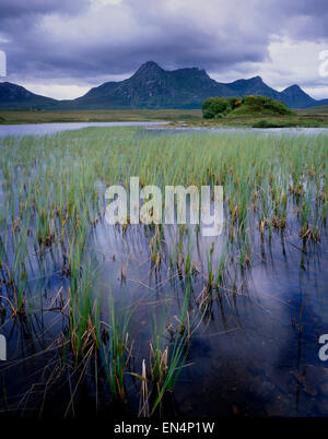 Von Lochan Hakel, Zunge, Sutherland, Schottland Großbritannien betrachtet Ben Loyal. Stockfoto