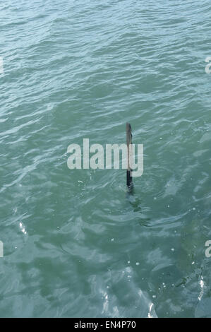 Verschiedene Arten von Wasserwellen mit Details Stockfoto