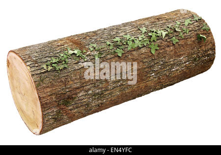 Holzscheit isoliert auf weißem Hintergrund mit Beschneidungspfad Stockfoto