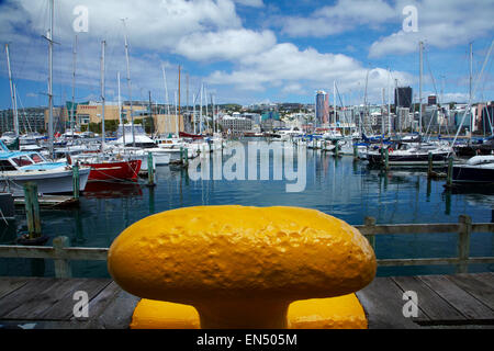 Chaffers Marina, Wellington, Nordinsel, Neuseeland Stockfoto