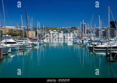 Chaffers Marina, Wellington, Nordinsel, Neuseeland Stockfoto