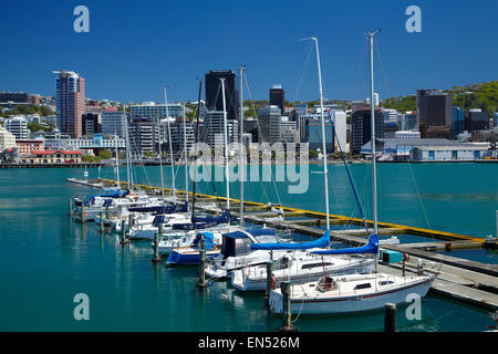 Yachten in Chaffers Marina und CBD, Wellington, Nordinsel, Neuseeland Stockfoto