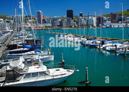 Yachten in Chaffers Marina und CBD, Wellington, Nordinsel, Neuseeland Stockfoto
