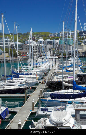 Chaffers Marina, Wellington, Nordinsel, Neuseeland Stockfoto