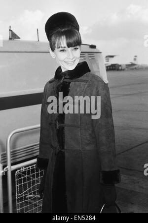 Schauspielerin Audrey Hepburn Ankunft in London aus Zürich für die Royal Charity-Premiere ihres neuesten Films "My Fair Lady", statt im Warner Theatre. 19. Januar 1965. Stockfoto