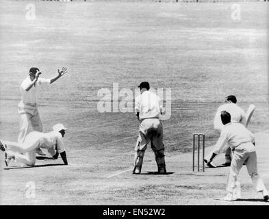 M.C.C Tour Südafrika 1964. 1. Test: Südafrika V England in Durban, 4-8 Dec 1964. In der 2. Innings ist Colin Bland von S.A von Barber gefangen. Stockfoto