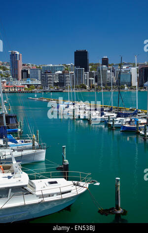 Yachten in Chaffers Marina und CBD, Wellington, Nordinsel, Neuseeland Stockfoto