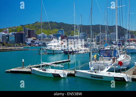 Chaffers Marina und CBD, Wellington, Nordinsel, Neuseeland Stockfoto