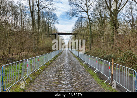 Bild der berühmten Kopfsteinpflaster Straße aus dem Wald von Arenberg (Pave d ' Arenberg). Stockfoto