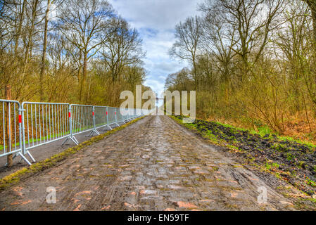 Bild der berühmten Kopfsteinpflaster Straße aus dem Wald von Arenberg (Pave d ' Arenberg). Stockfoto