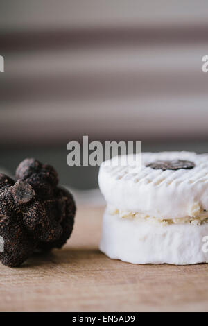 Trüffel gefüllt Ziegenkäse und eine ganze schwarze Trüffel Stockfoto