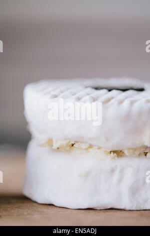 Trüffel gefüllt Ziegenkäse auf eine Holzoberfläche Stockfoto