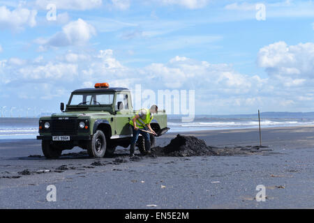 Hartlepool, Cleveland, UK. 28. April 2015. Tony Reid, 22, aus Hartlepool Futterpflanzen für Meer-Kohle, die an die Flut angespült wird. Die Tradition seit Jahrhunderten an der nordöstlichen Küste praktiziert, aber jetzt nur eine Handvoll Leute noch weitermachen die Tradition. Die Kohle verkauft für ca. £10 pro Tonne und dient in Kohlekraftwerken. Bildnachweis: Robert Smith/Alamy Live-Nachrichten Stockfoto