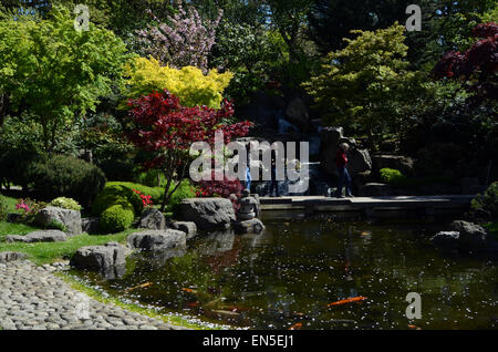 London, UK. 28. April 2015. Kaltfront und Regen Ansatz aber London noch Sonnenschein genießt, wie die Kirschblüten beginnen zu fallen. Bildnachweis: JOHNNY ARMSTEAD/Alamy Live-Nachrichten Stockfoto