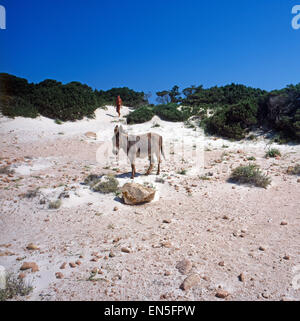 Urlaub in Nordsardinien Auf der Insel Budelli, Italienisch 1970er Jahre. Urlaub im Norden Sardiniens auf der Insel Budelli, Italien Stockfoto