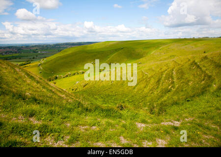 Kreide Böschung Hang mit trockenen Tälern Roundway Hill, in der Nähe von Devizes, Wiltshire, England Stockfoto