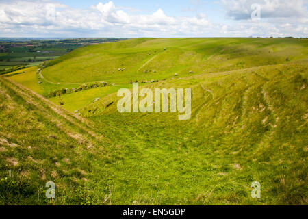 Kreide Böschung Hang mit trockenen Tälern Roundway Hill, in der Nähe von Devizes, Wiltshire, England Stockfoto