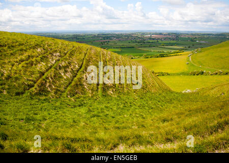 Kreide Böschung Hang mit trockenen Tälern Roundway Hill, in der Nähe von Devizes, Wiltshire, England Stockfoto