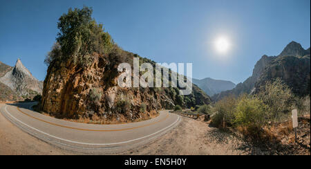 Kings Canyon National Park Panorama Baum mit Berg Stockfoto