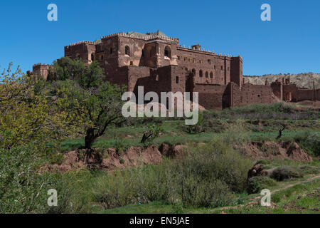 Kasbah Telouet, lebte Glaoui Familie bis 1956 Pascha von Marrakesch Stockfoto