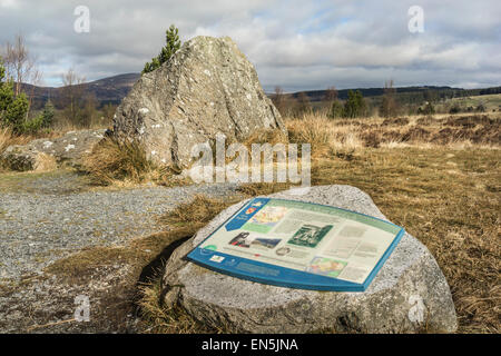 Der Bruce Stein am Clatteringshaw Loch In Galloway in Schottland. Stockfoto