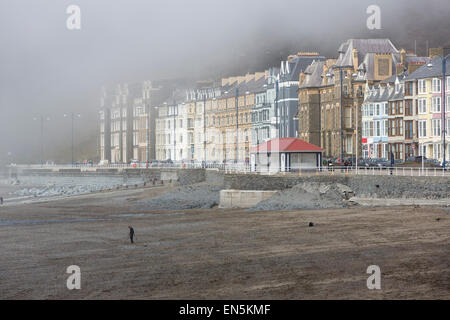 Mann auf der Suche mit einem Metalldetektor in Marine Terrasse Aberystwyth Strand, Dyfed, Wales, Vereinigtes Königreich Stockfoto