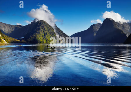 Fjord Milford Sound, Südinsel, Neuseeland Stockfoto