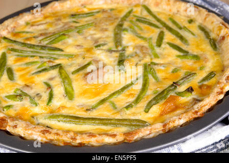 Frisch gebackene Quiche mit grünen Bohnen und Hühnerfleisch in einer Backform Stockfoto