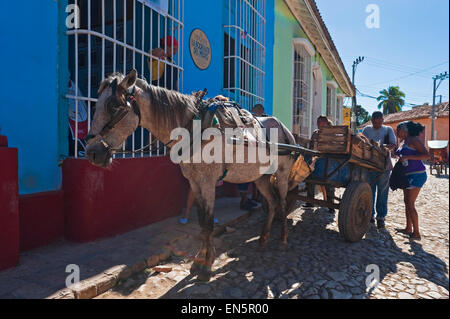 Horizontale Sicht auf ein Pony und Karren in Trinidad, Kuba. Stockfoto