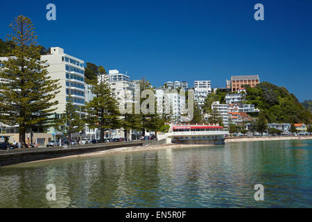 Oriental Bay, Wellington, Nordinsel, Neuseeland Stockfoto