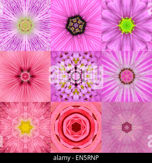 Sammlung von neun konzentrischen rosa Blume Mandalas. Kaleidoskop konzentrischen Design. Voller Blüte Hintergrund Stockfoto