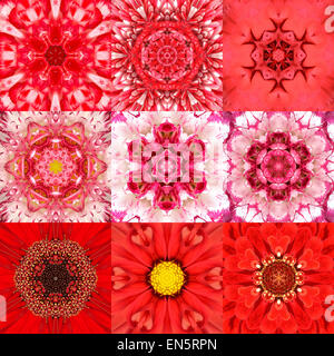 Sammlung von neun konzentrischen Flowers Mandalas. Kaleidoskop-Design. Voller Blüte Hintergrund Stockfoto