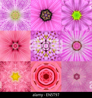 Sammlung von neun konzentrischen rosa Blume Mandalas. Kaleidoskop konzentrischen Design. Voller Blüte Hintergrund Stockfoto