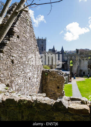 Der Dom Stadt von St Davids in Pembrokeshire ist eine der kleinsten Städte im Vereinigten Königreich Stockfoto