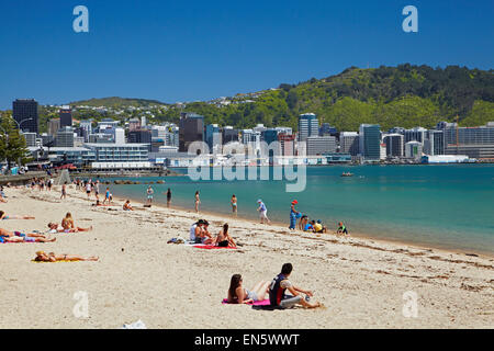 Sommertag am Strand an der Oriental Bay, Wellington, Nordinsel, Neuseeland Stockfoto