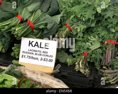 Lose Bündel von Kale" lacinato, Rot Russisch Blau geringelt' auf dem Display im Verkauf in $-Dollar pro Bündel an Farmers Market Embarcadero, San Francisco, USA Stockfoto