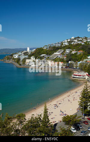 Oriental Bay, Wellington, Nordinsel, Neuseeland Stockfoto