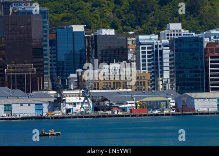 Wellington CBD und Hafen und Schwimmer auf Ponton, Wellington, Nordinsel, Neuseeland Stockfoto