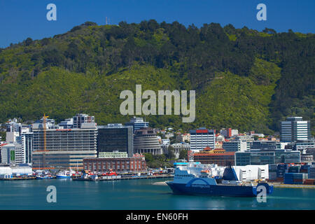 Bluebridge Fähre, Wellington CBD und dem Hafen von Wellington, Nordinsel, Neuseeland Stockfoto