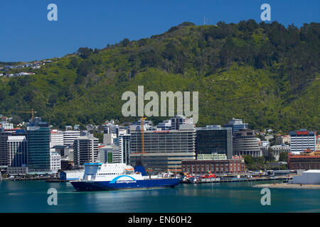 Bluebridge Fähre, Wellington CBD und dem Hafen von Wellington, Nordinsel, Neuseeland Stockfoto