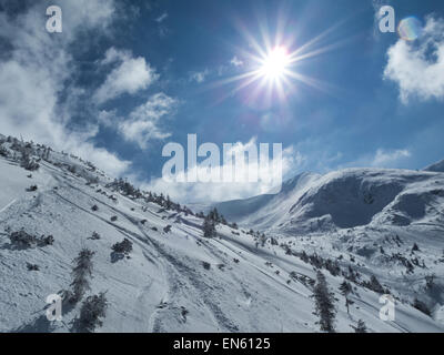 Goryczkowa Dolina (Tal) in der polnischen westlichen Tatra, Südliches Polen Stockfoto