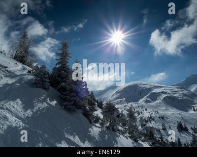 Goryczkowa Dolina (Tal) in der polnischen westlichen Tatra, Südliches Polen Stockfoto