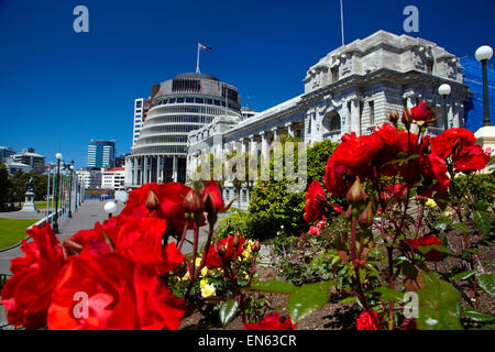 Der Bienenstock und Parliament House, Wellington, Nordinsel, Neuseeland Stockfoto