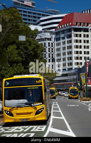 Busse, Lambton Quay, Wellington, Nordinsel, Neuseeland Stockfoto