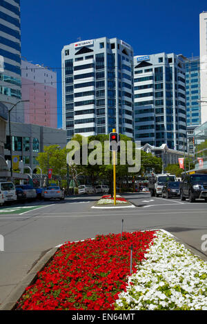 Blumen und Bürogebäuden, Lambton Quay, Wellington, Nordinsel, Neuseeland Stockfoto